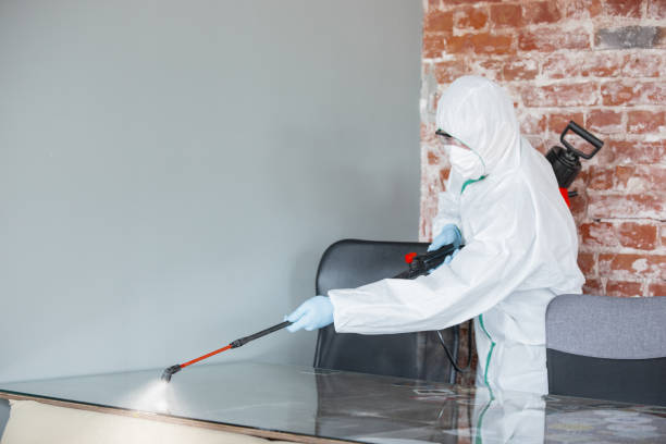 Why You Should Choose Our Mold Remediation Services in Coweta, OK