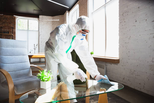 Mold Odor Removal Services