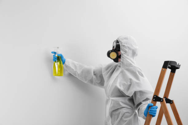 Best Biohazard Mold Removal  in Coweta, OK